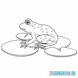 Распечатать раскраску лягушка жаба на А4