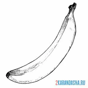 Распечатать раскраску одинокий банан на А4
