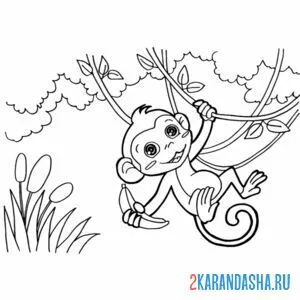 Раскраска обезьяна на дереве онлайн