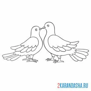 Распечатать раскраску два влюбленных голубя на А4
