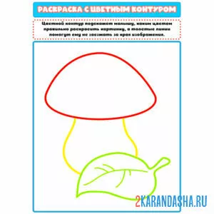 Раскраска с цветным контуром гриб и листочек онлайн