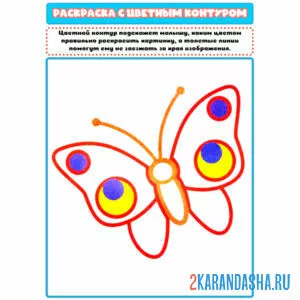 Раскраска с цветным контуром большая бабочка онлайн
