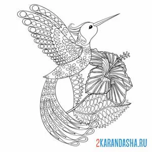 Раскраска колибри арт-терапия онлайн