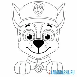 Раскраска гонщик щенячий патруль лапуля онлайн