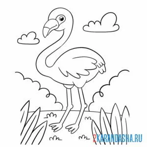Распечатать раскраску фламинго на озере на А4