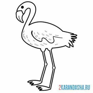 Раскраска смешной фламинго онлайн