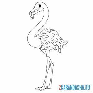 Распечатать раскраску красивая птица фламинго на А4