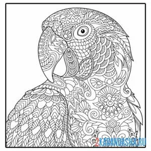 Распечатать раскраску антистресс-попугай на А4