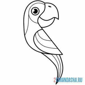 Раскраска попугай арт онлайн