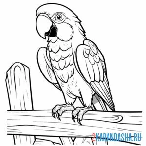 Распечатать раскраску попугай сидит на А4