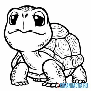 Раскраска загрустила черепаха онлайн
