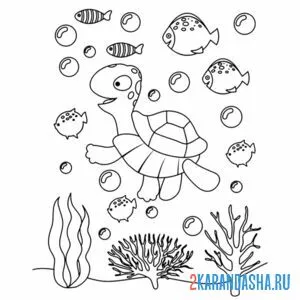 Раскраска черепаха и много рыб онлайн