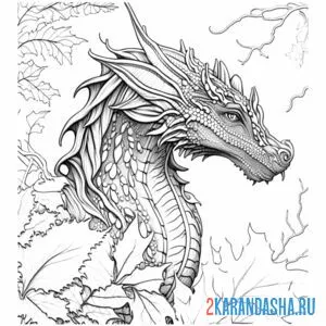 Раскраска дракон голова онлайн
