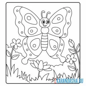 Раскраска бабочка рисунок онлайн