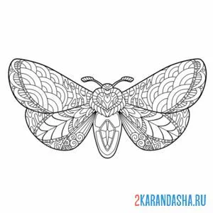 Раскраска бабочка-антистресс онлайн