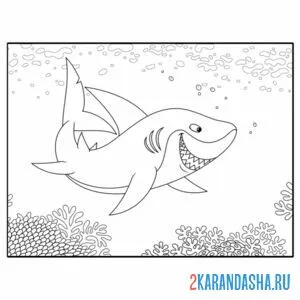 Раскраска хищная акула онлайн