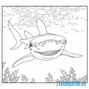 Раскраска китовая акула онлайн