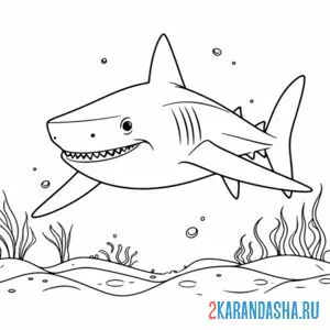 Раскраска зубастая акула онлайн
