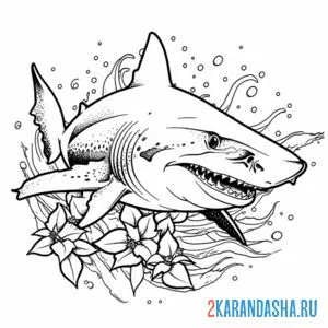 Раскраска акула арт онлайн