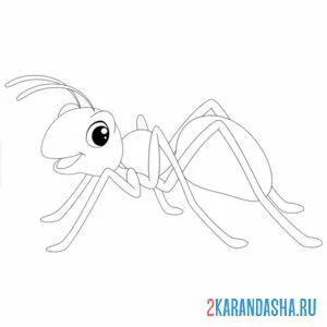 Раскраска муравей без полосок онлайн