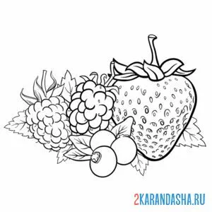 Раскраска клубника, малина и ягоды онлайн