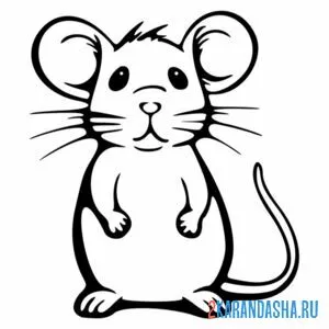 Раскраска серая мышь онлайн