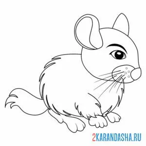 Раскраска полевая маленькая мышь онлайн