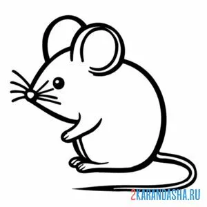 Раскраска мышка сбоку онлайн
