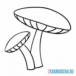 Раскраска гриб лесной онлайн