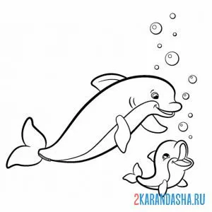 Распечатать раскраску дельфин мама и детеныш резвятся на А4