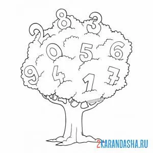 Раскраска математическое дерево онлайн
