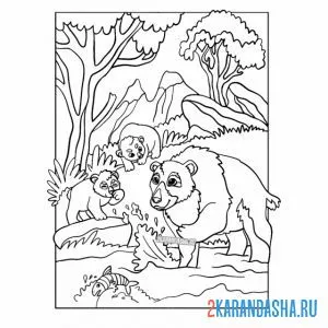 Распечатать раскраску медведи в лесу на А4