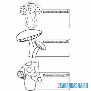 Раскраска названия грибов онлайн