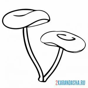 Раскраска опёнок съедобный гриб онлайн