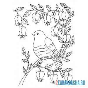Онлайн раскраска птичка в весеннем лесу