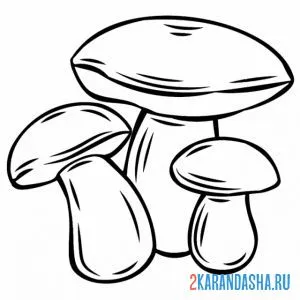 Раскраска три гриба онлайн