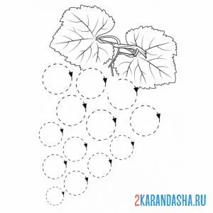 Раскраска виноград из кружков онлайн