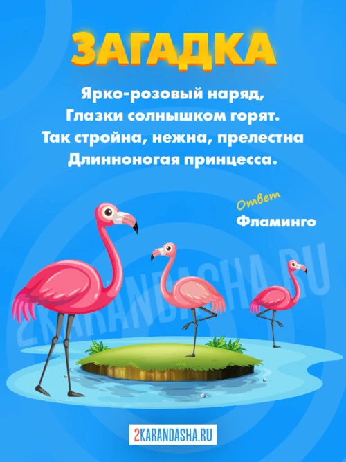 Загадки Фламинго