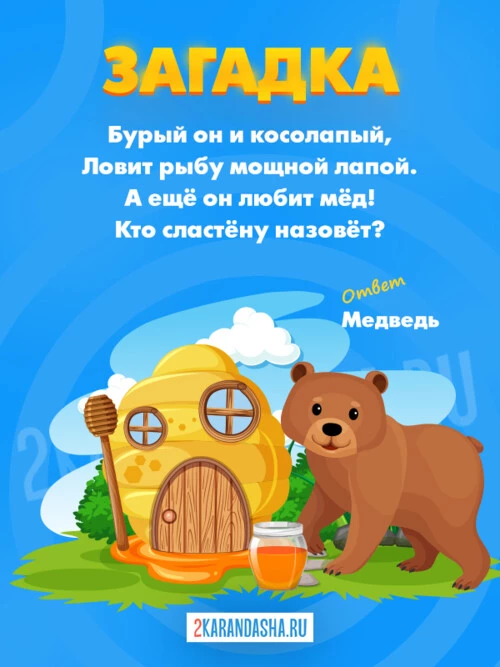 Загадки Медведь