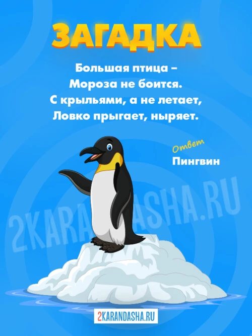 Загадки Пингвин