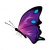 Цветной пример раскраски бабочка с усиками
