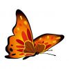 Цветной пример раскраски бабочка с узорами