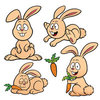 Цветной пример раскраски милый зайчик с морковкой