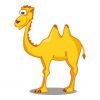 Цветной пример раскраски забавный верблюд