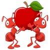 Цветной пример раскраски два муравья с яблочком