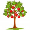 Цветной пример раскраски дерево с яблоками, яблоня