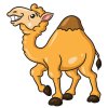 Цветной пример раскраски верблюд в пустыне