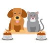 Цветной пример раскраски собака и кот рядом с мисками