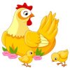 Цветной пример раскраски мама курица и цыплята