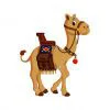 Цветной пример раскраски верблюд с накидкой